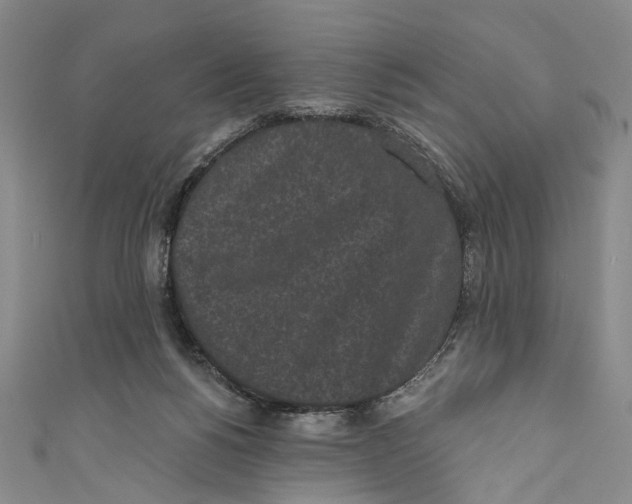 X0000110960168200907101335