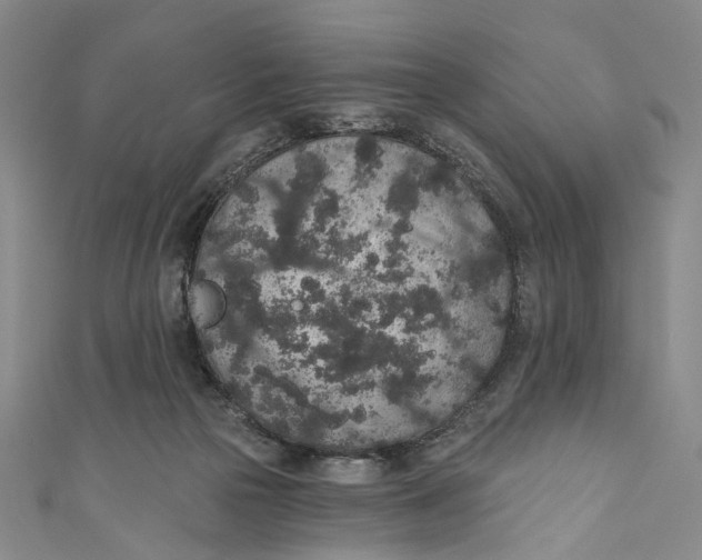 X0000110960169200907101335