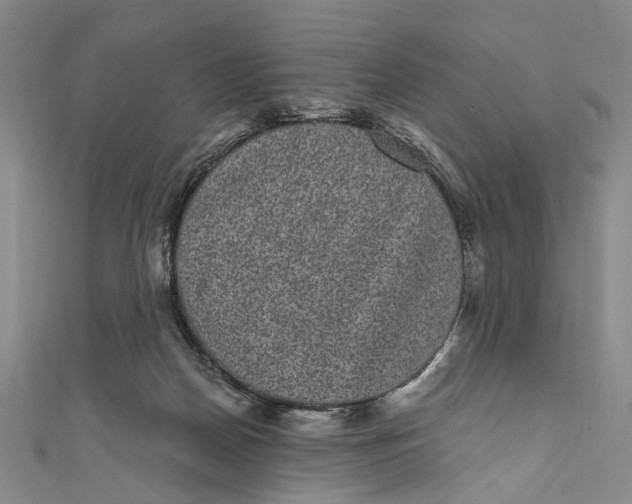 X0000110960170200907101335