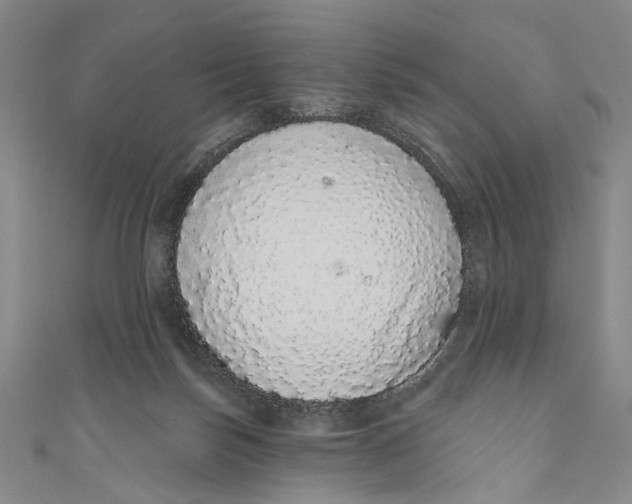 X0000110960171200907101335