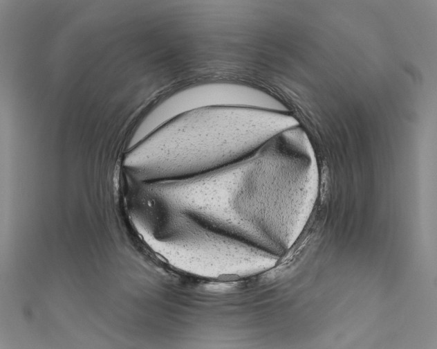 X0000110960172200907101335