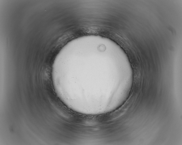 X0000110960175200907101335