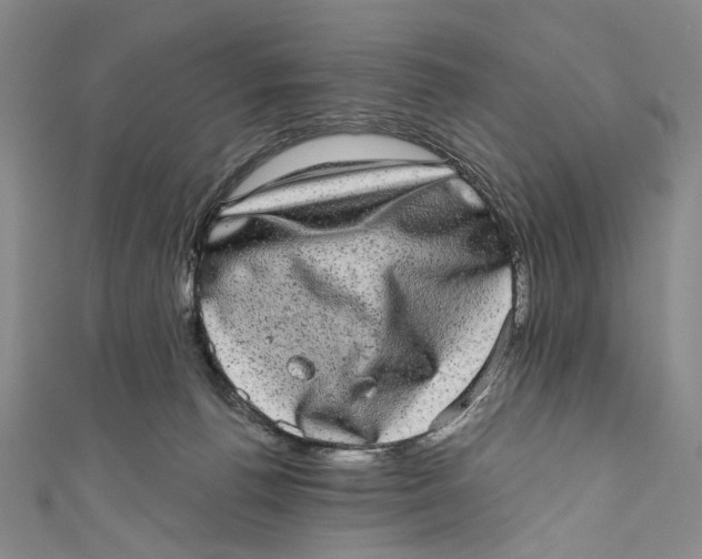 X0000110960176200907101335