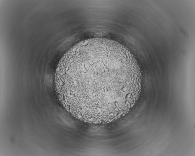 X0000110960177200907101335