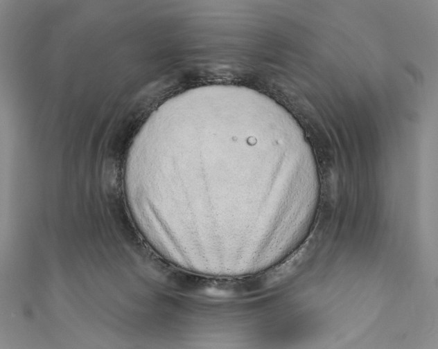 X0000110960178200907101335