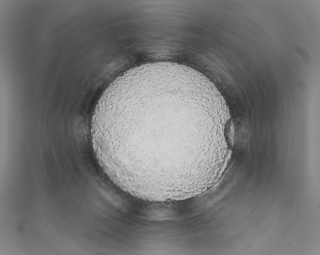 X0000110960179200907101335