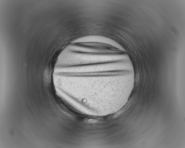 X0000110960180200907101335