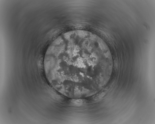 X0000110960181200907101335