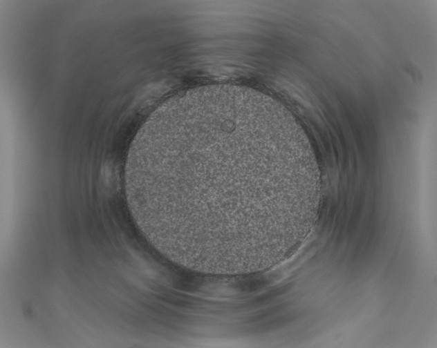 X0000110960182200907101335