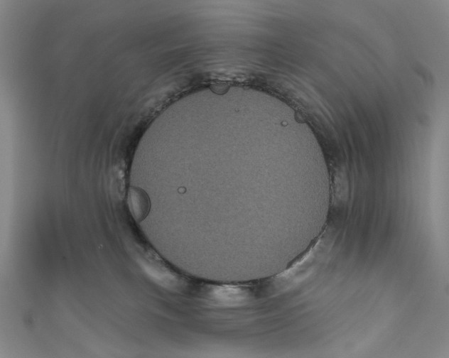 X0000110960183200907101335