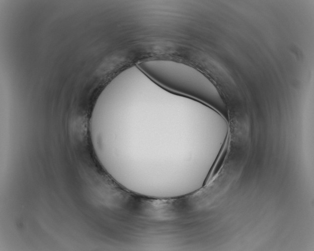 X0000110960184200907101335