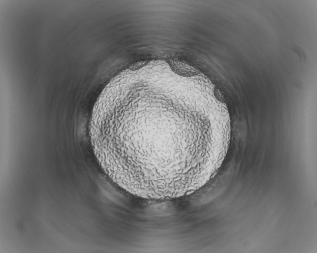 X0000110960185200907101335