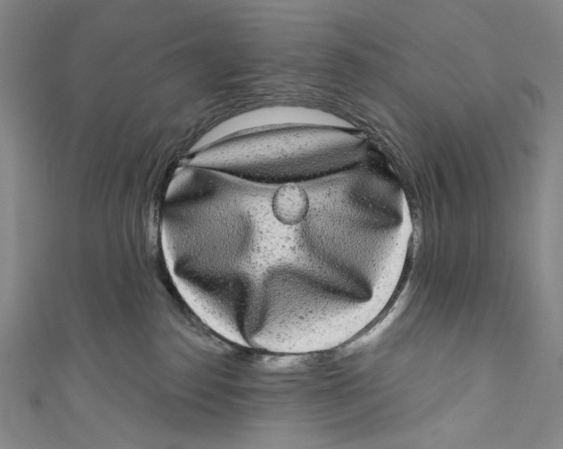 X0000110960186200907101335