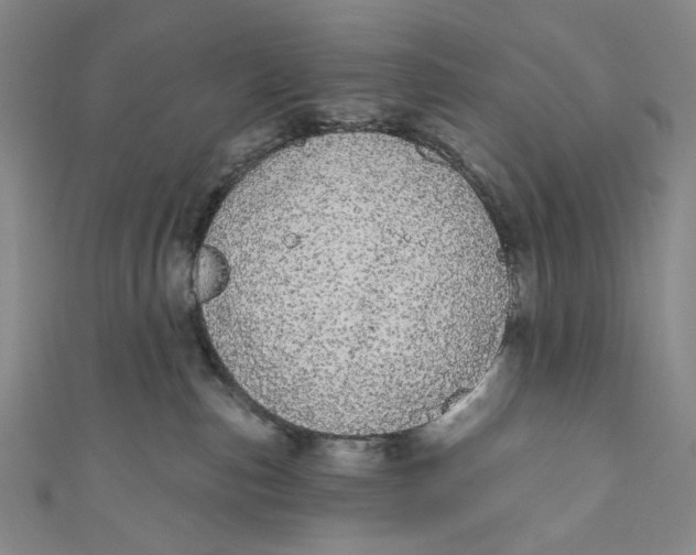 X0000110960187200907101335