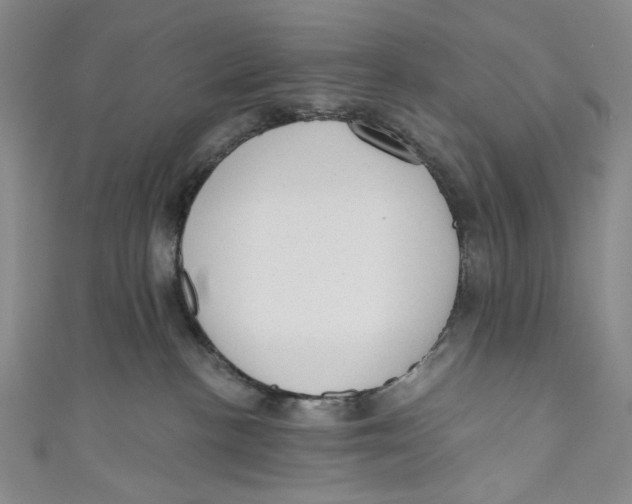 X0000110960188200907101335