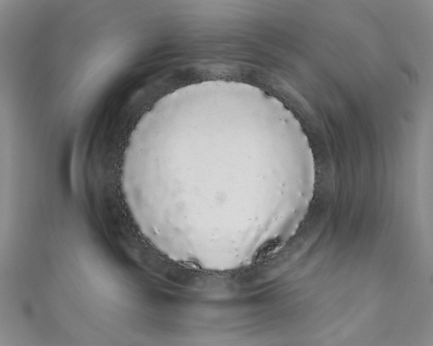 X0000110960189200907101335