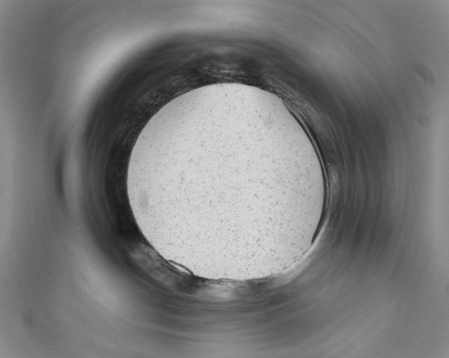 X0000110960190200907101335