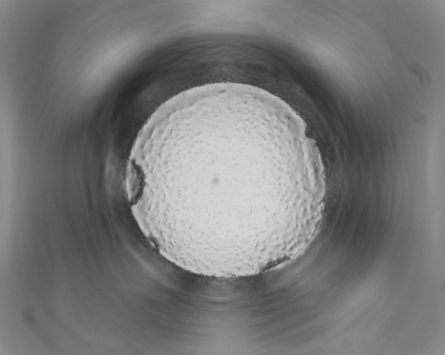 X0000110960191200907101335