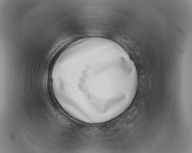 X0000110960194200907101335