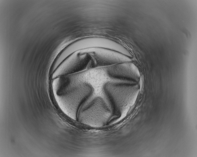 X0000110960195200907101335