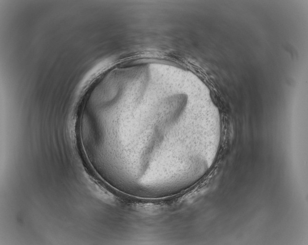 X0000110960197200907101335