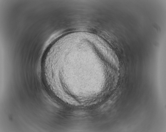 X0000110960198200907101335