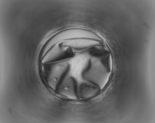 X0000110960199200907101335