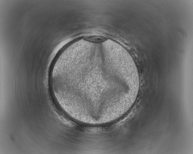 X0000110960200200907101335