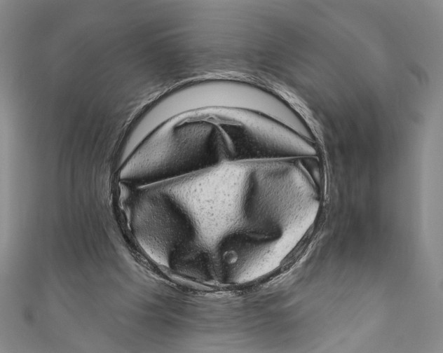 X0000110960201200907101335