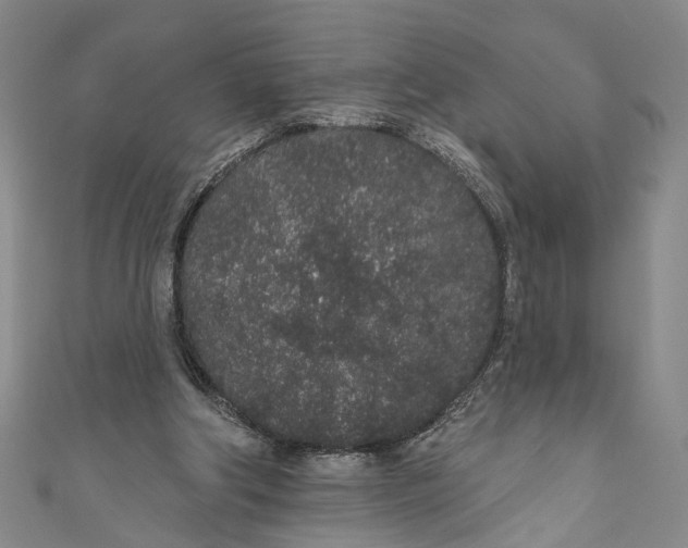 X0000110960202200907101335