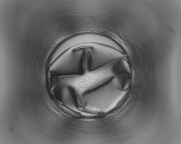 X0000110960203200907101335