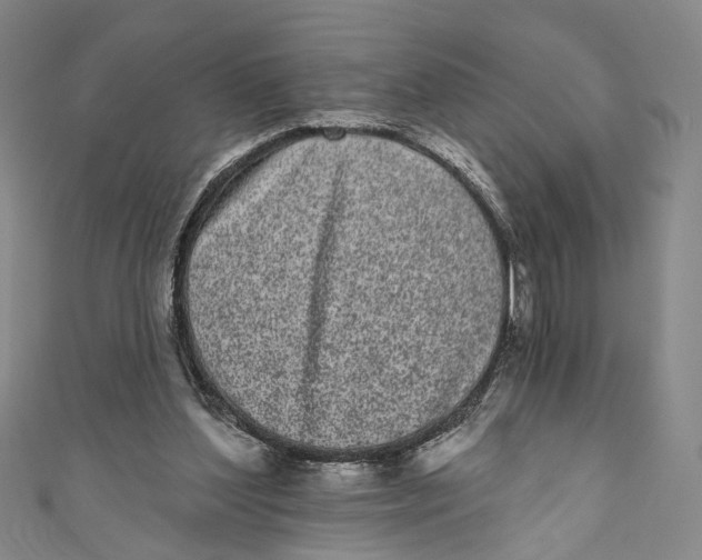 X0000110960204200907101335