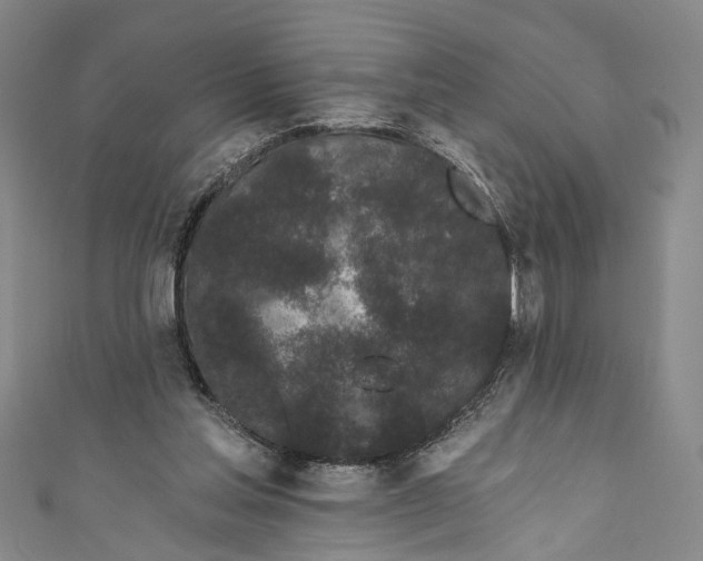 X0000110960205200907101335