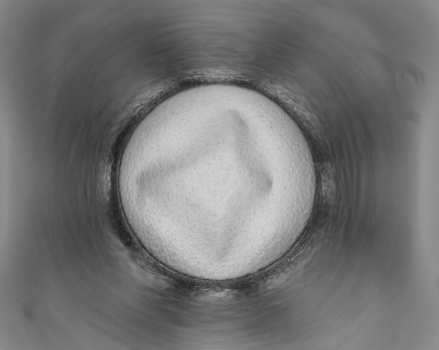 X0000110960206200907101335