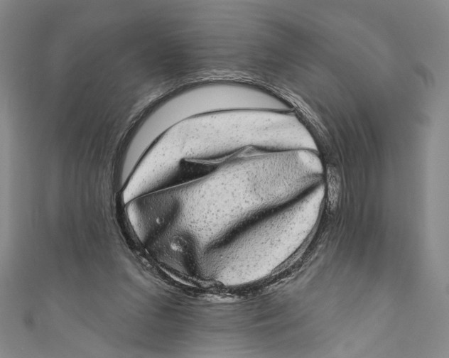 X0000110960207200907101335