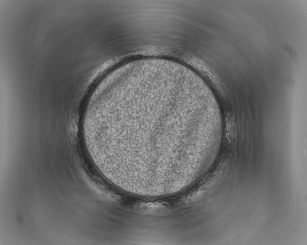 X0000110960208200907101335