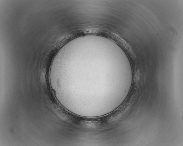 X0000110960209200907101335