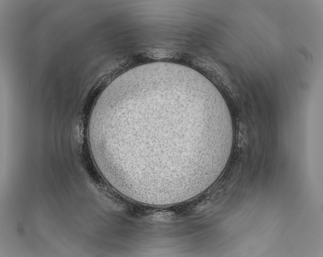 X0000110960210200907101335