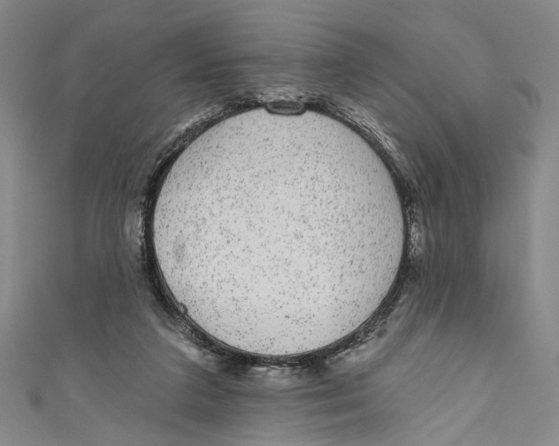 X0000110960211200907101335