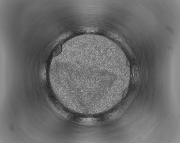 X0000110960212200907101335