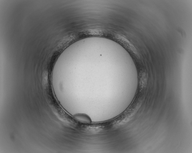 X0000110960213200907101335