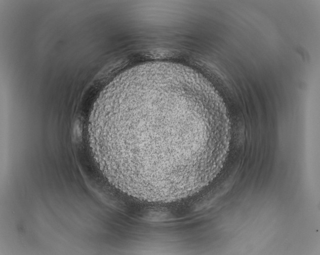 X0000110960214200907101335