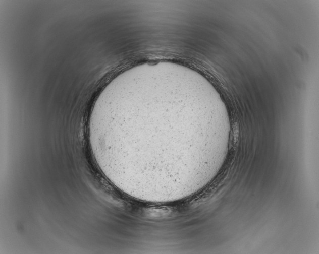 X0000110960215200907101334