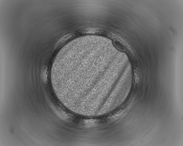 X0000110960216200907101334