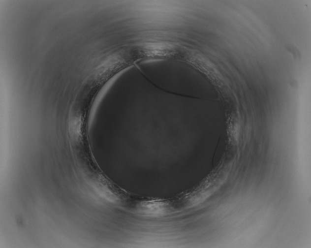 X0000110960219200907101334