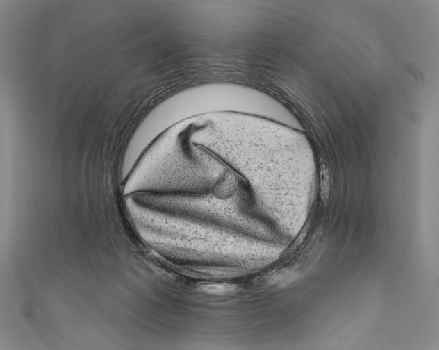 X0000110960221200907101334