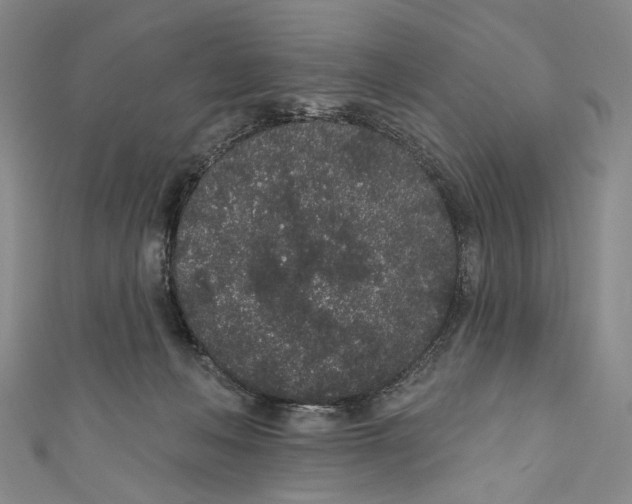 X0000110960222200907101334