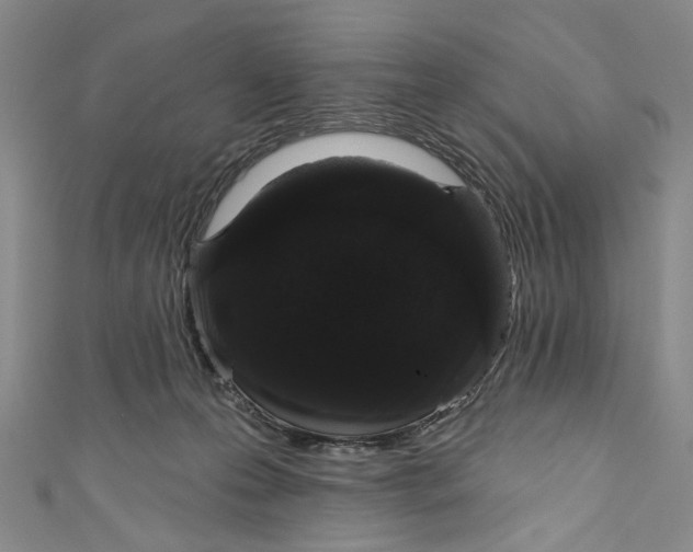 X0000110960223200907101334