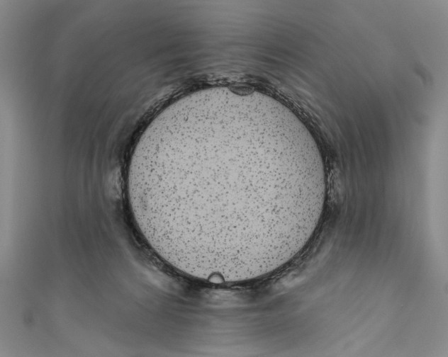 X0000110960224200907101334