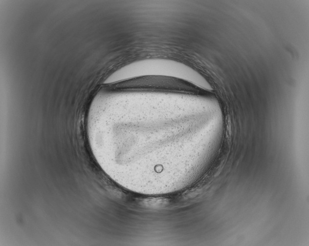 X0000110960225200907101334